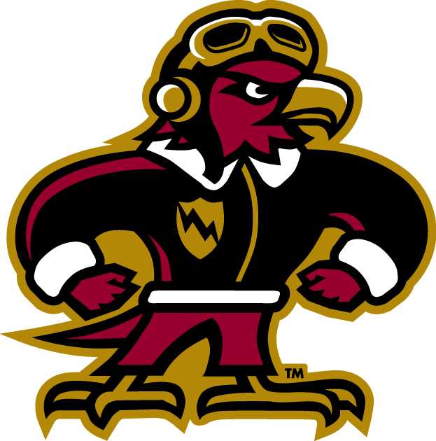 Louisiana-Monroe Warhawks 2006-Pres Misc Logo v5 diy iron on heat transfer